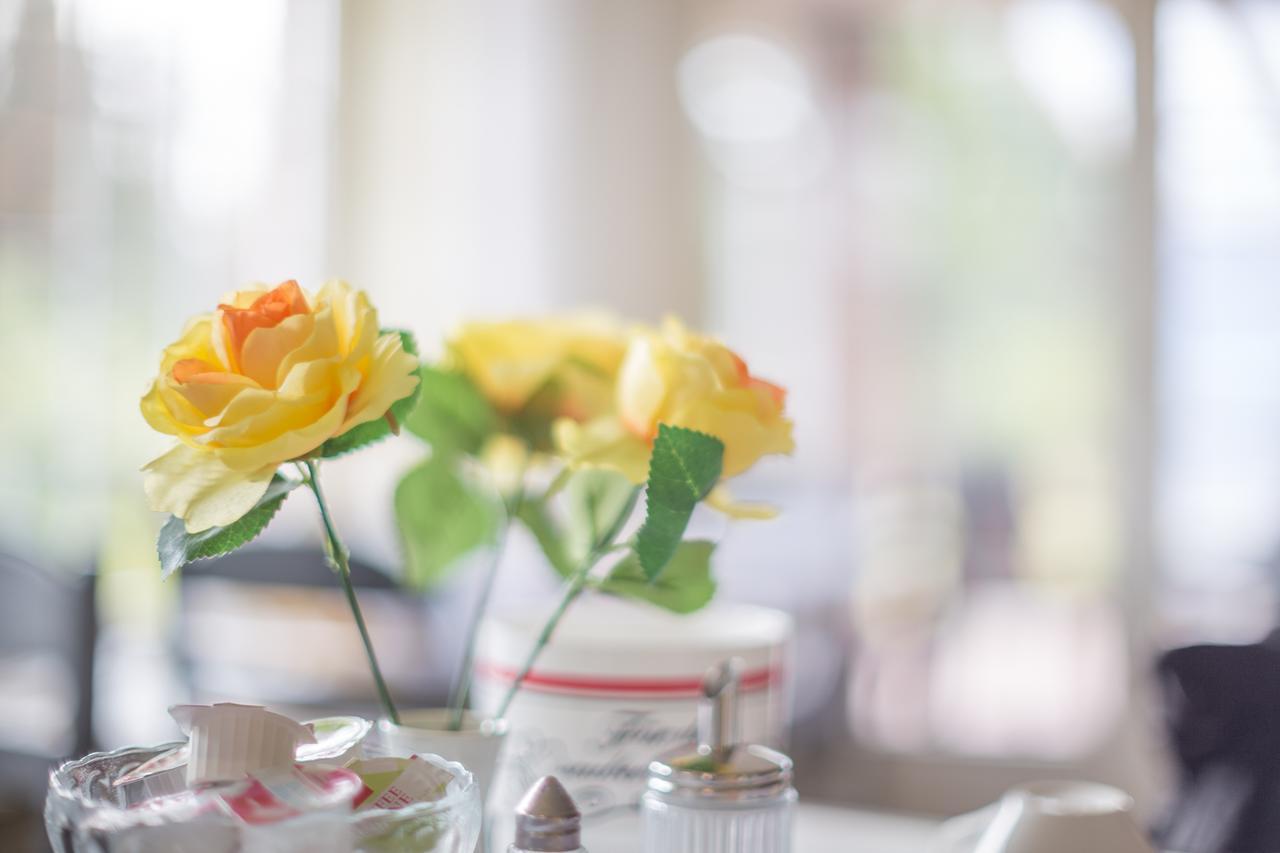 Pension Blumen-Villa シュネーヴァーディンゲン エクステリア 写真